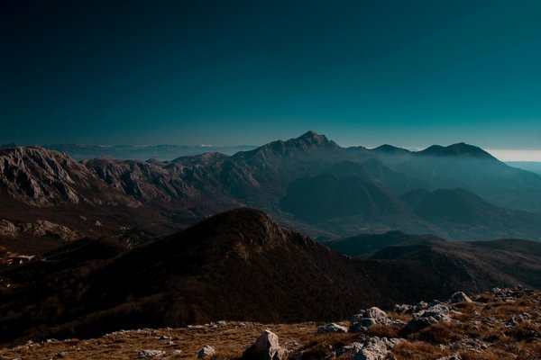 Unleash Adventure: Explore Cornwall's Best Beaches for Dogs and Create Unforgettable Moments with Your Furry Friend!